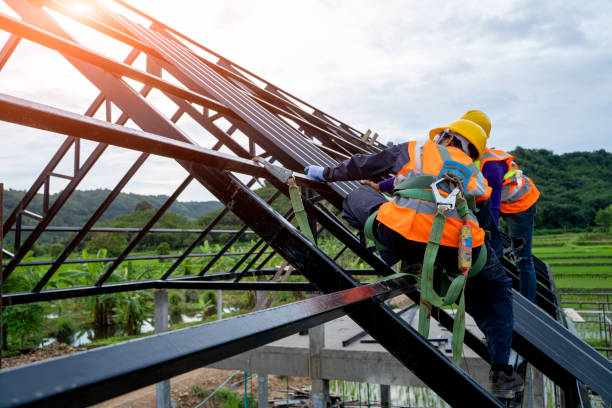 Professional Roofing Contractor in Carlisle Rockledge, AL