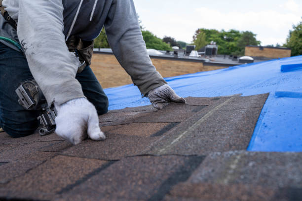 Best Shingle Roofing Installation  in Carlisle Rockledge, AL